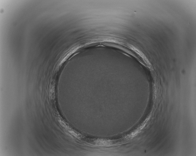 X0000087420977200704271733