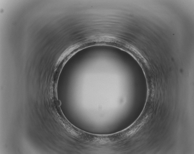 X0000087420978200704271733