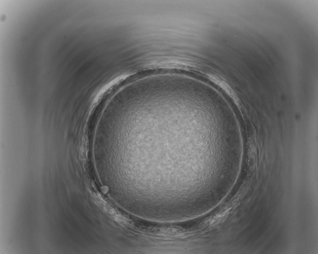 X0000087420979200704271733