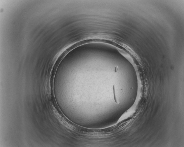 X0000087420980200704271733