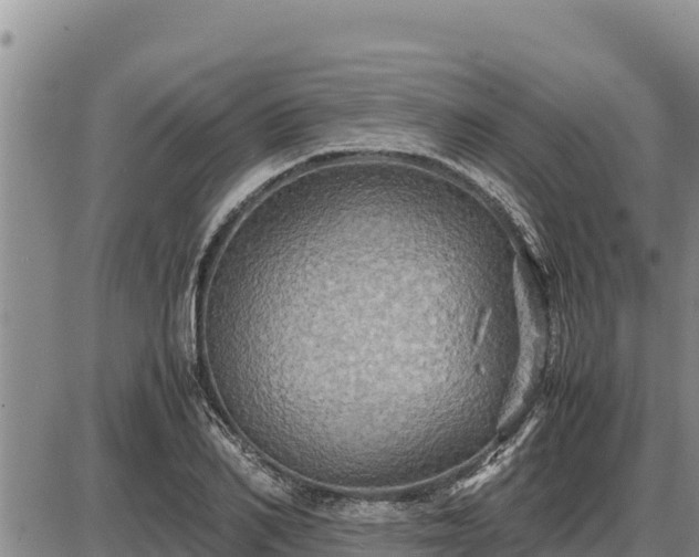 X0000087420982200704271733