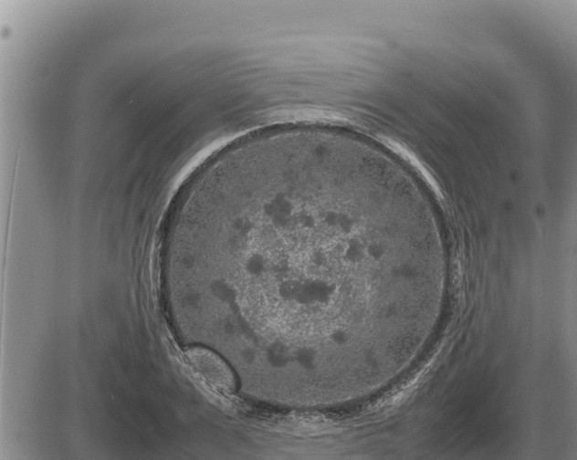 X0000087420983200704271733