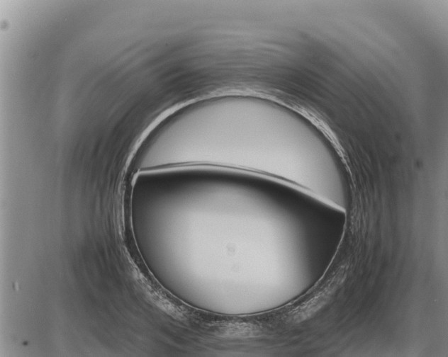 X0000087420984200704271733