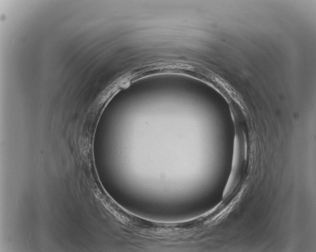 X0000087420985200704271733