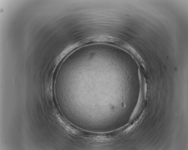 X0000087420986200704271733