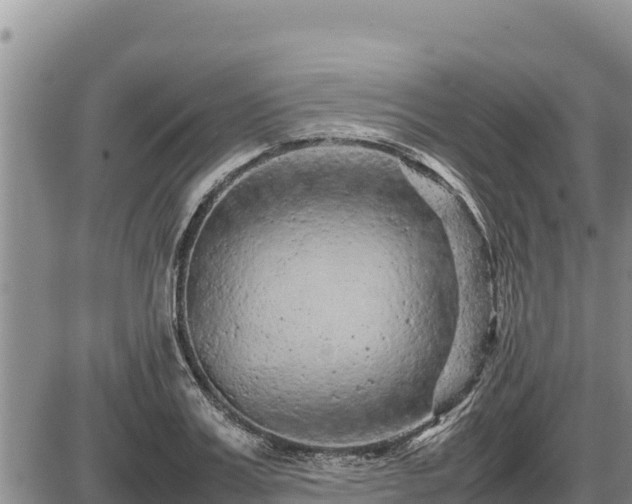 X0000087420987200704271733