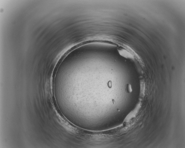 X0000087420988200704271733