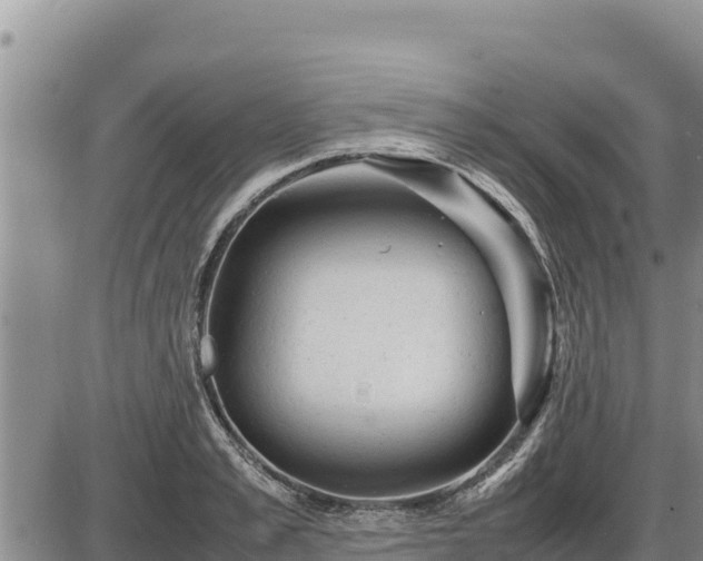 X0000087420989200704271733