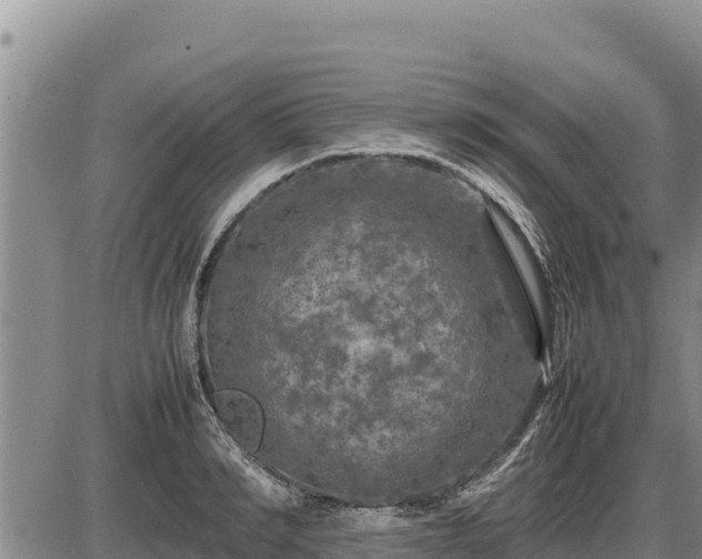 X0000087420990200704271733