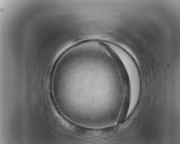 X0000087420991200704271733