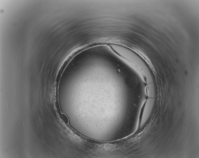 X0000087420992200704271733