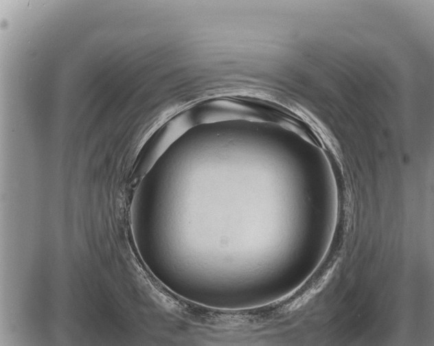 X0000087420993200704271733