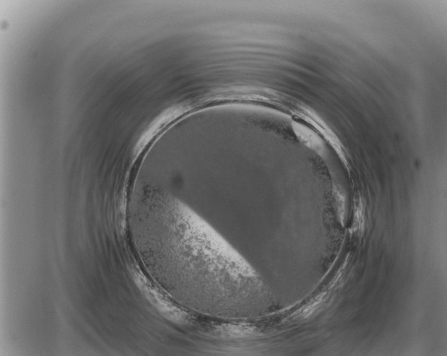 X0000087420994200704271733