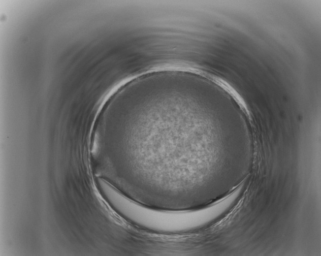 X0000087420996200704271732