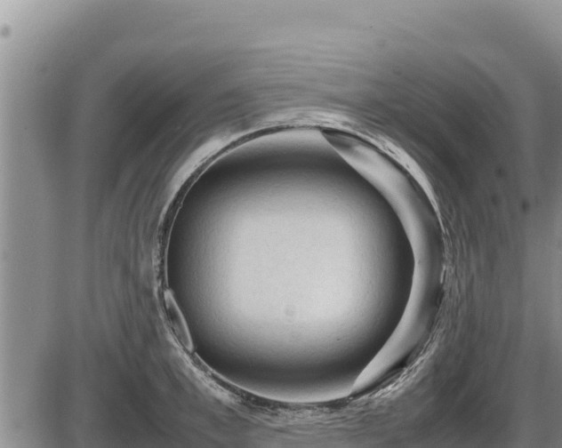 X0000087420997200704271732