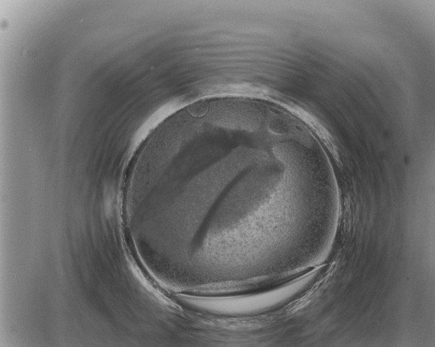 X0000087420998200704271732