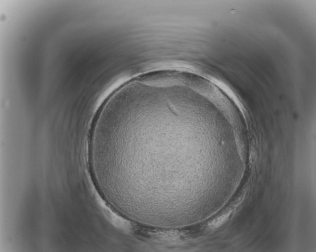 X0000087420999200704271732