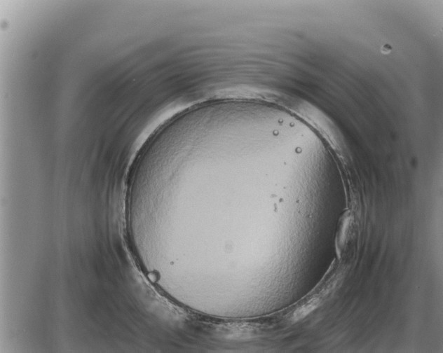 X0000087421000200704271732