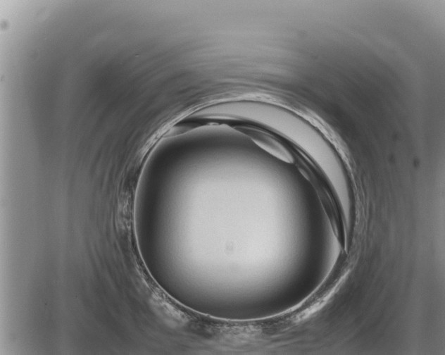 X0000087421001200704271732