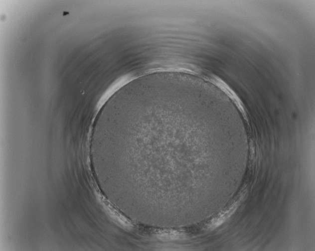 X0000087421002200704271732