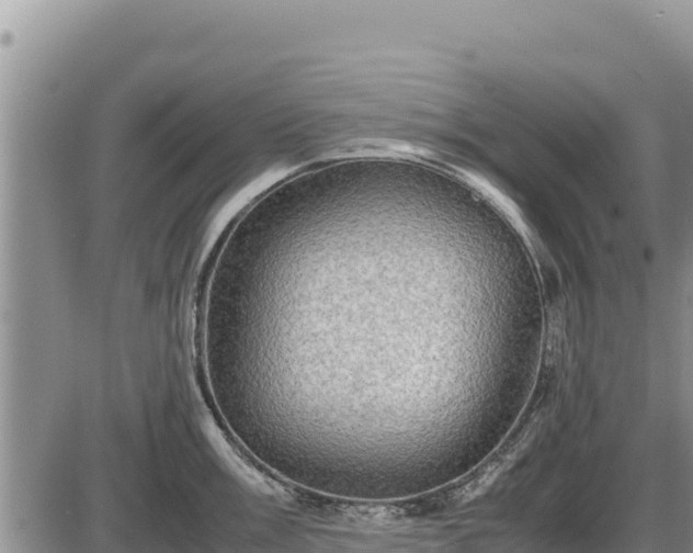 X0000087421003200704271732