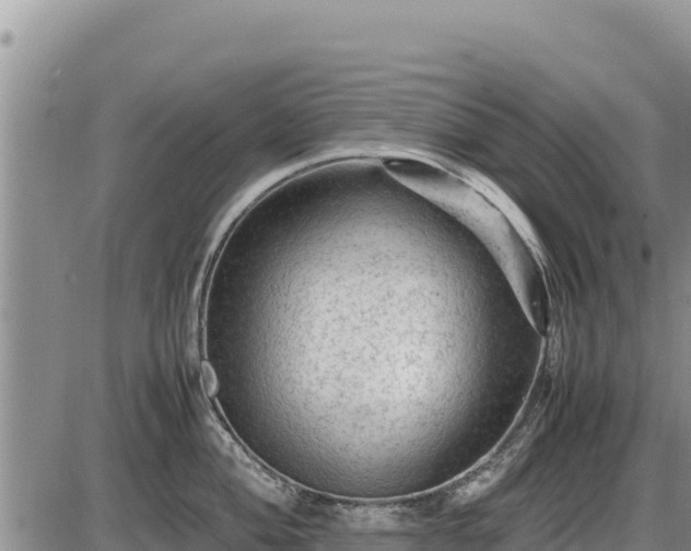 X0000087421004200704271732