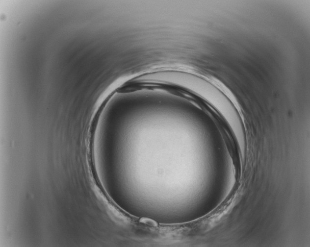 X0000087421005200704271732