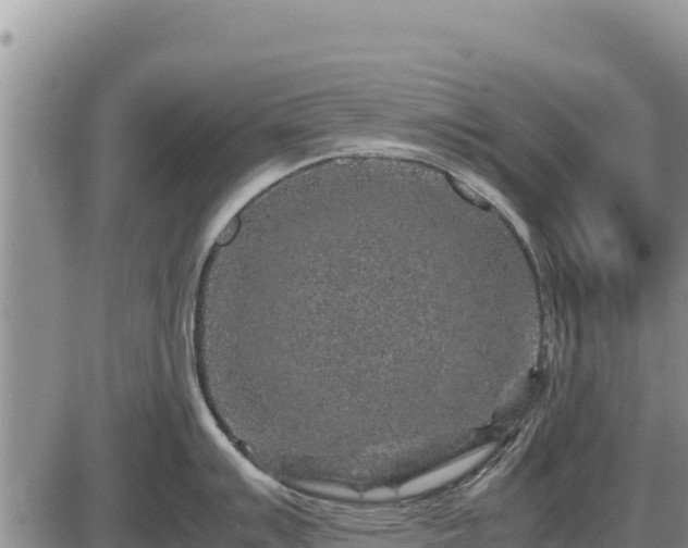 X0000087421007200704271732