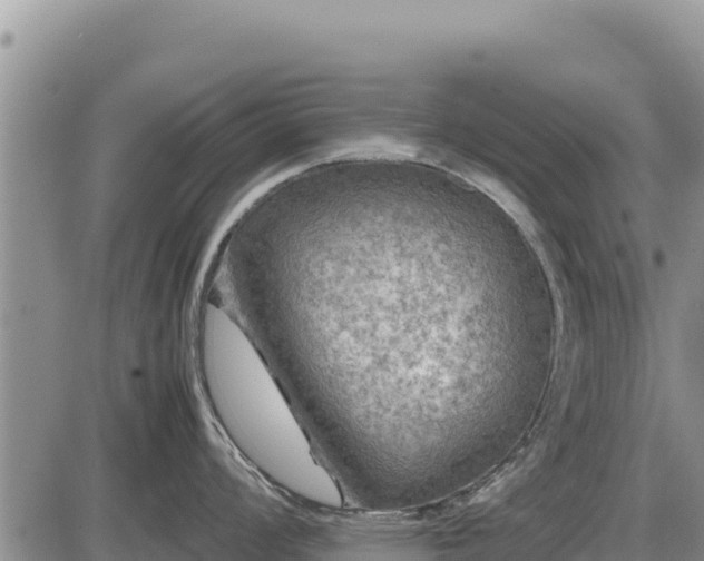 X0000087421008200704271732