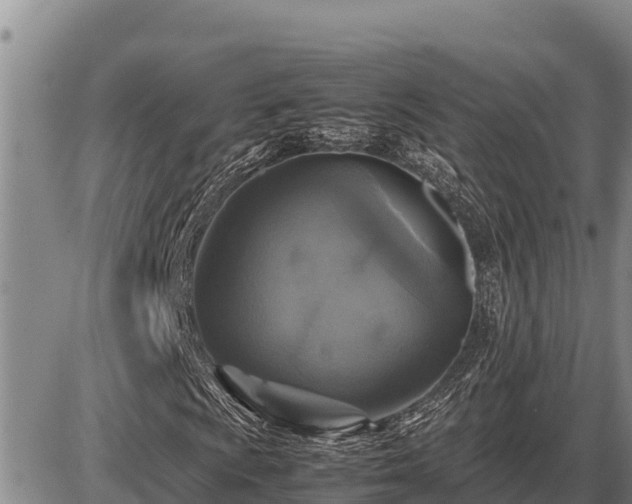 X0000087421009200704271732