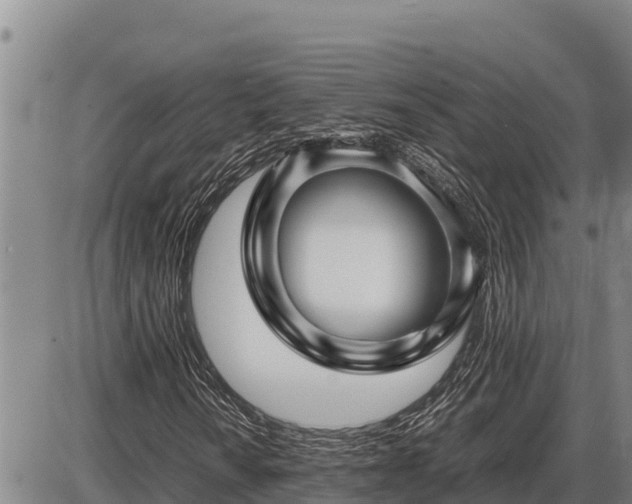 X0000087421010200704271732