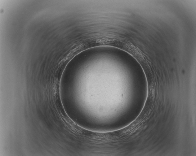 X0000087421012200704271732