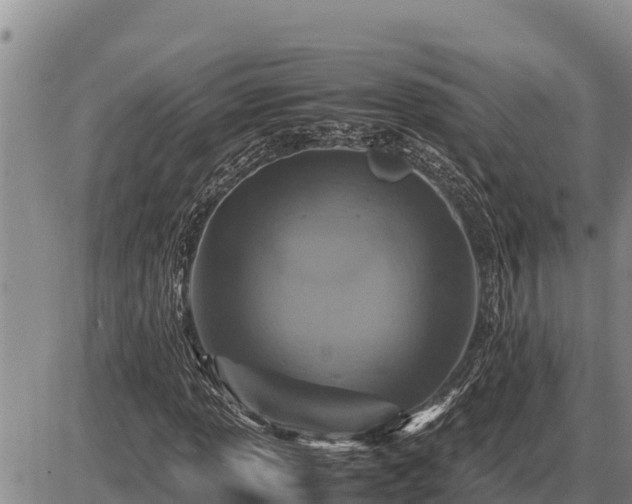 X0000087421013200704271732