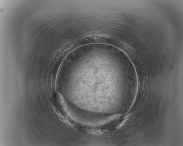 X0000087421014200704271732