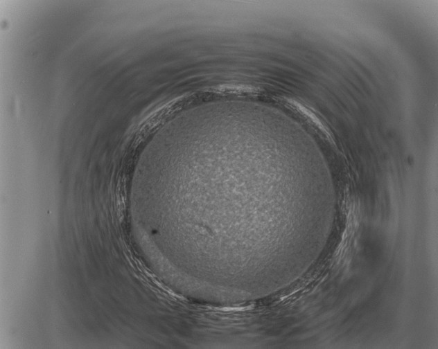 X0000087421015200704271732