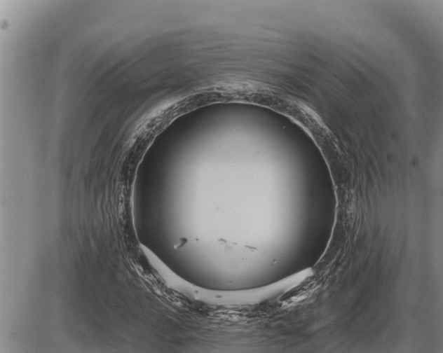 X0000087421016200704271732