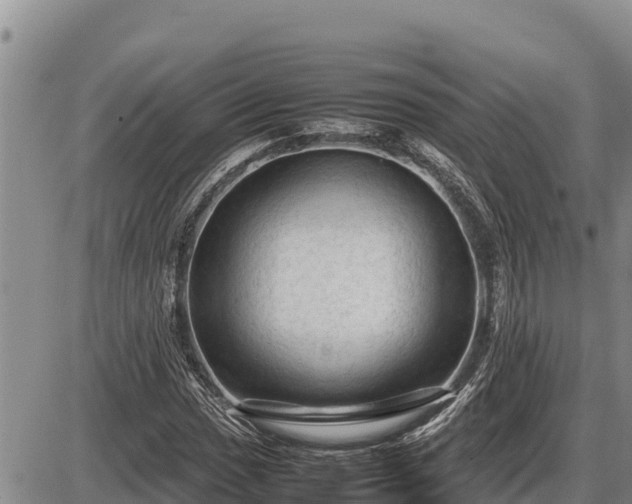 X0000087421017200704271732