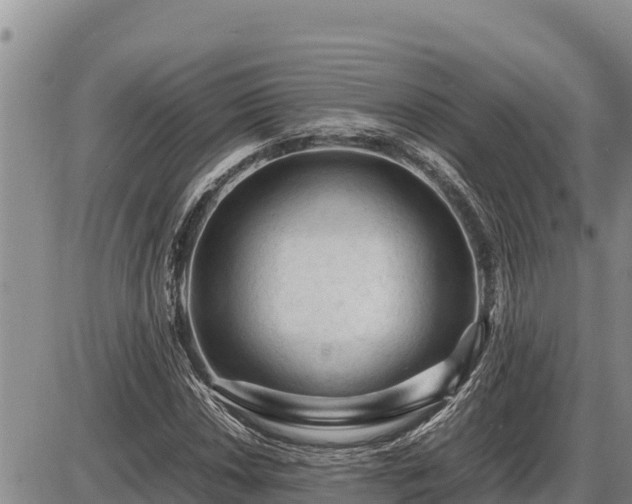 X0000087421018200704271732