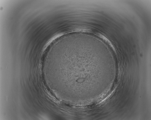 X0000087421019200704271732