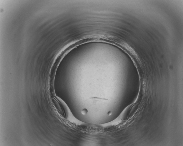 X0000087421020200704271732