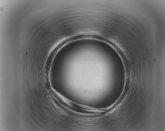 X0000087421022200704271732