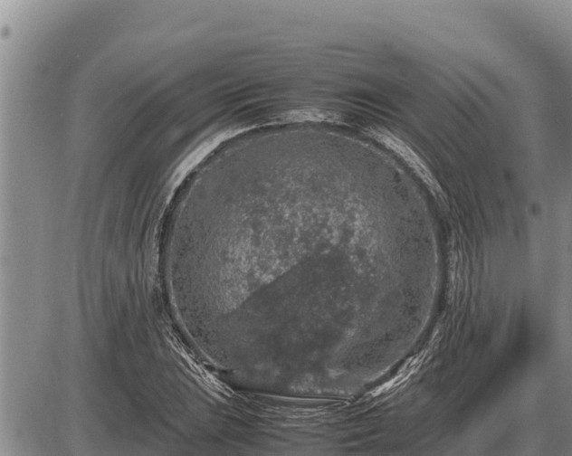 X0000087421023200704271732