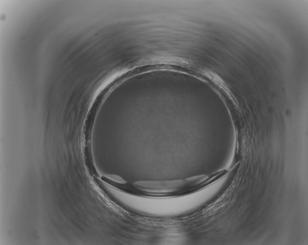 X0000087421024200704271732