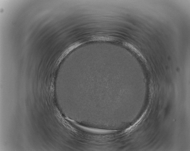 X0000087421025200704271732