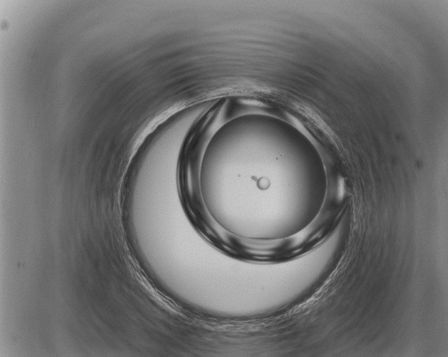 X0000087421026200704271732