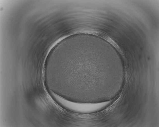 X0000087421028200704271732