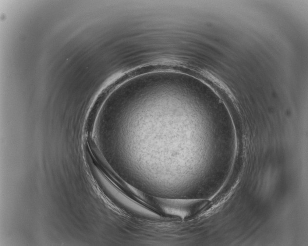 X0000087421029200704271732