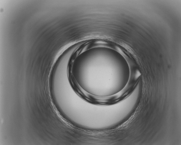 X0000087421030200704271732