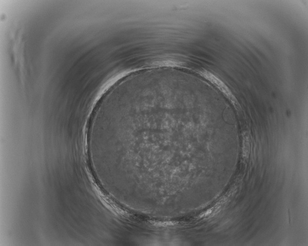 X0000087421031200704271732