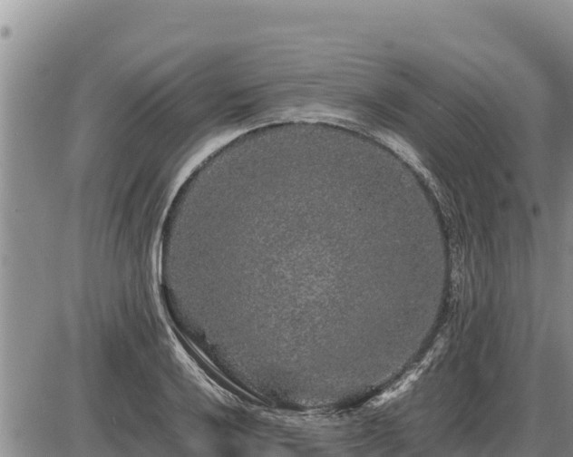 X0000087421032200704271732